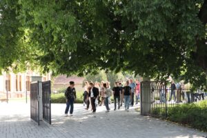 460824953 926877796133204 4922846452752725695 N 1 300x200