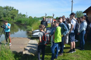 DSC 8819 Scaled 1 300x199