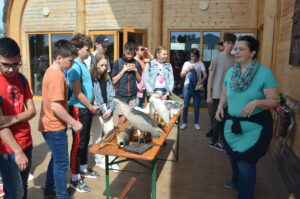 DSC 8828 Scaled 1 300x199