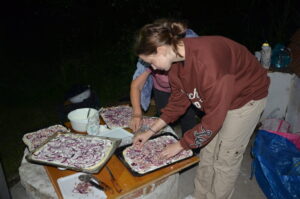 DSC 8931 Scaled 1 300x199