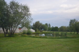 DSC 8954 Scaled 1 300x199