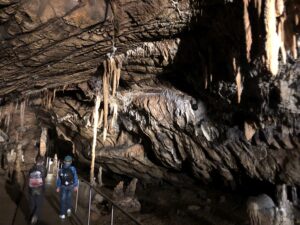 IMG 5053 Scaled 1 300x225