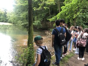 IMG 5071 Scaled 1 300x225