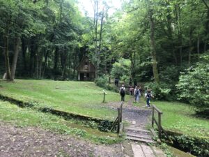 IMG 5072 Scaled 1 300x225