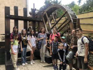 IMG 5095 Scaled 1 300x225