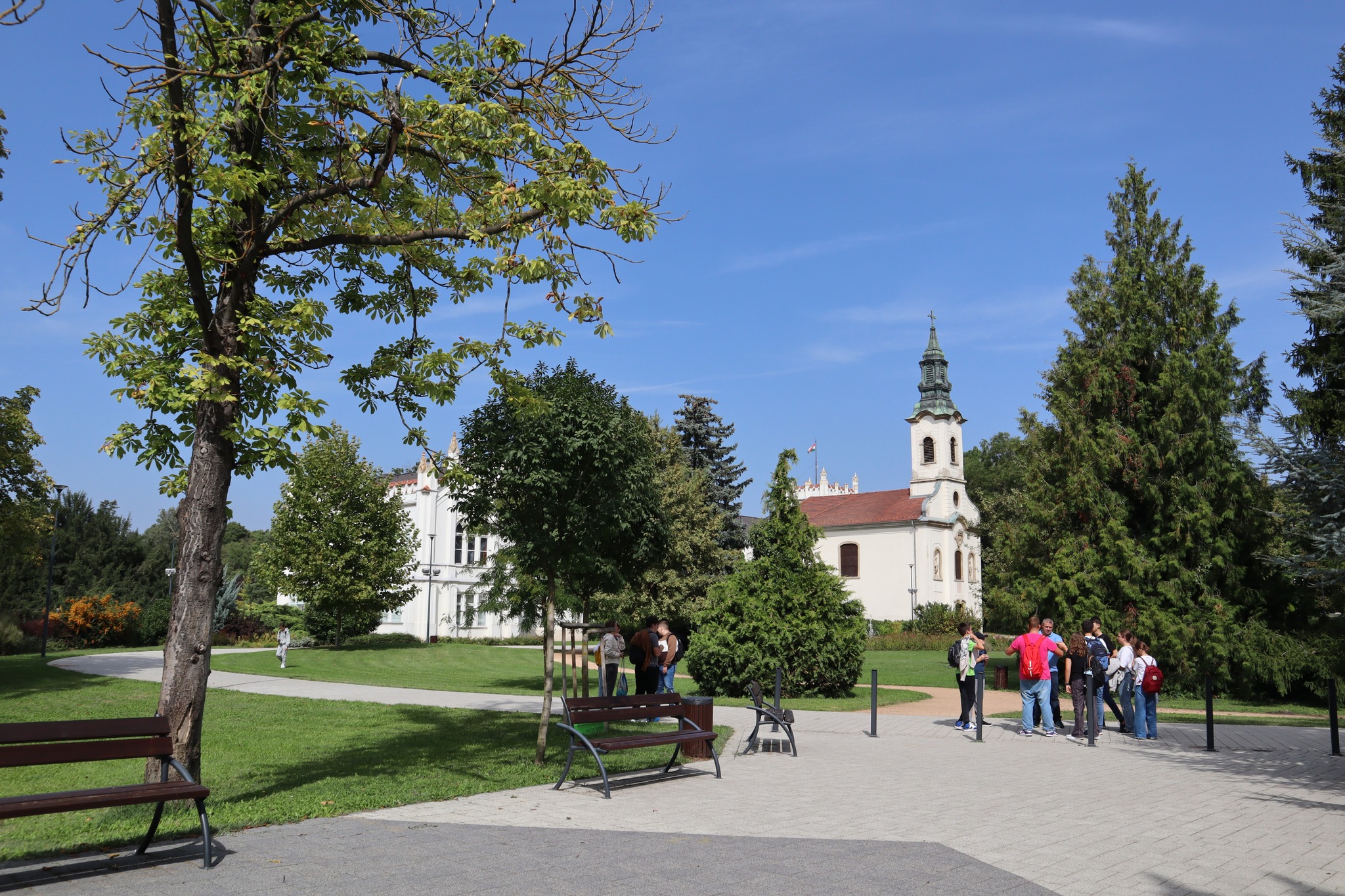 460833400 926879609466356 2617310403101702477 N