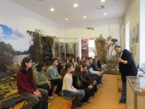 diakok a dunamenti muzeum kiallitasan scaled